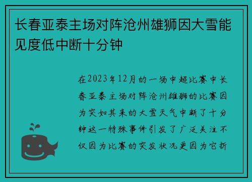 长春亚泰主场对阵沧州雄狮因大雪能见度低中断十分钟